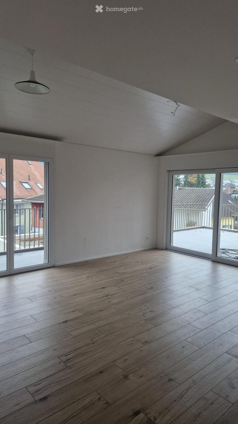 4-Zimmer Attikawohnung (2)