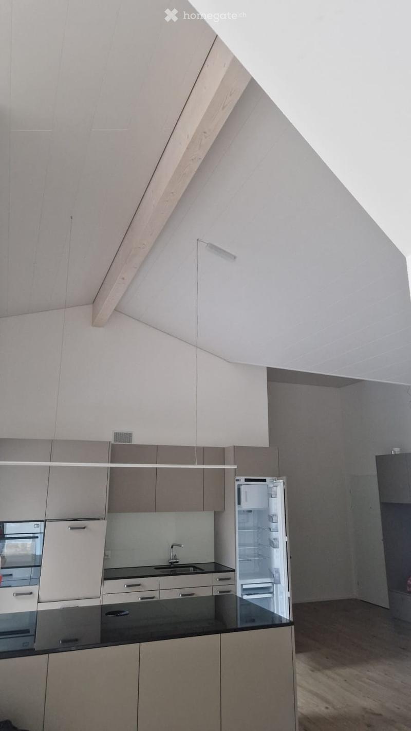 4-Zimmer Attikawohnung (1)