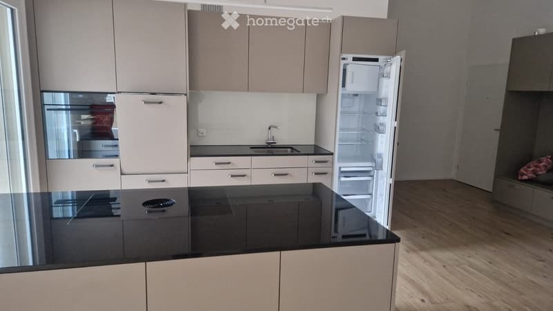 4-Zimmer Attikawohnung (4)