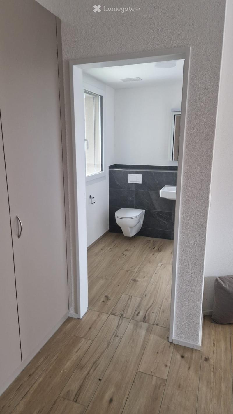 4-Zimmer Attikawohnung (5)