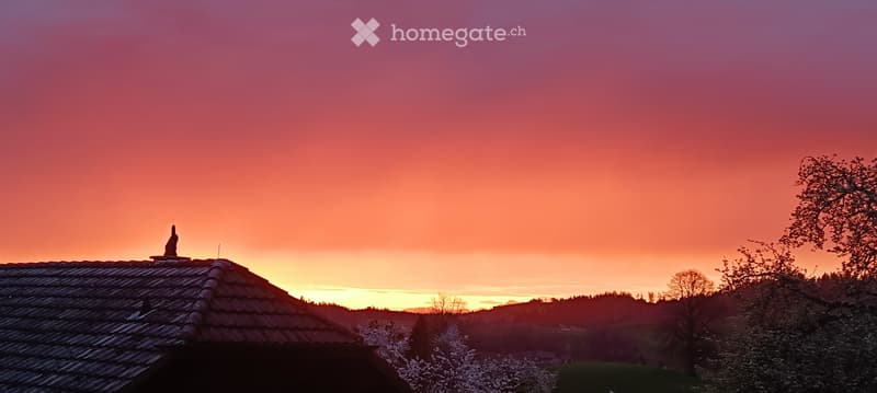 Einfamilienhaus "Stöckli" (2)