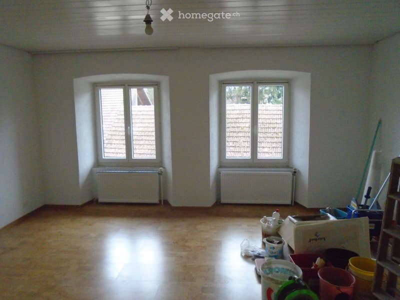 Frisch renovierte 4 Zimmerwohnung Villigen (5)