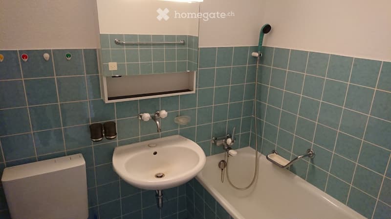 Ruhige 4.5-Zi. Wohnung im Grünen (5)