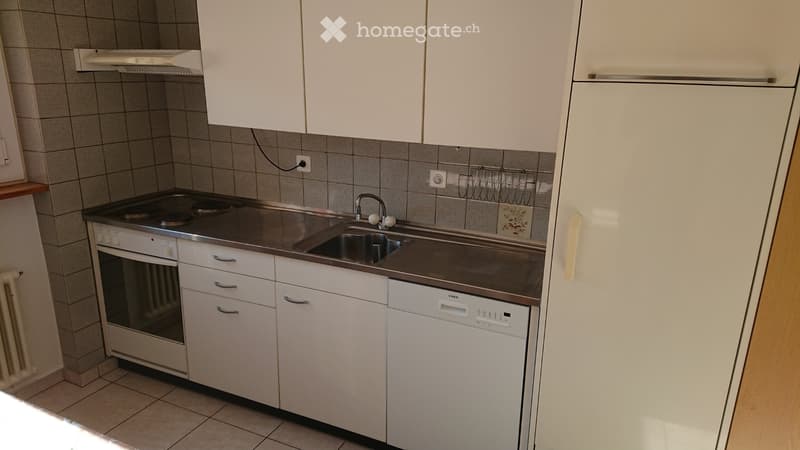 Ruhige 4.5-Zi. Wohnung im Grünen (4)