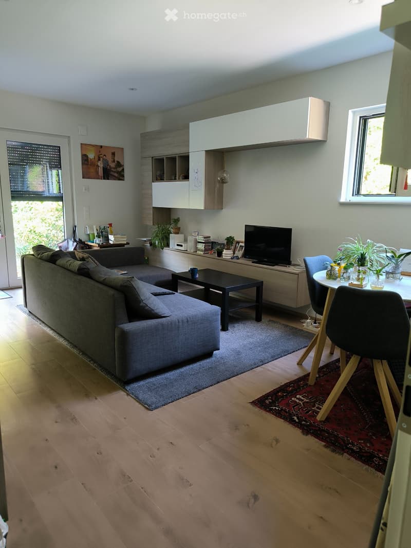 Casa moderna del 2018 con appartamento accessorio a Osogna (3)