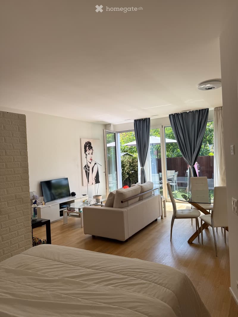 Monolocale a Massagno con Giardino (5)