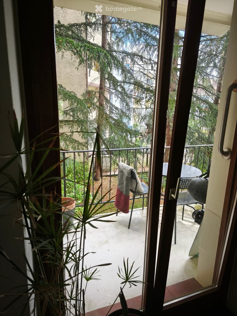 Nachmieter/in gesucht  2.5-Zimmer-Wohnung in Basel (5)