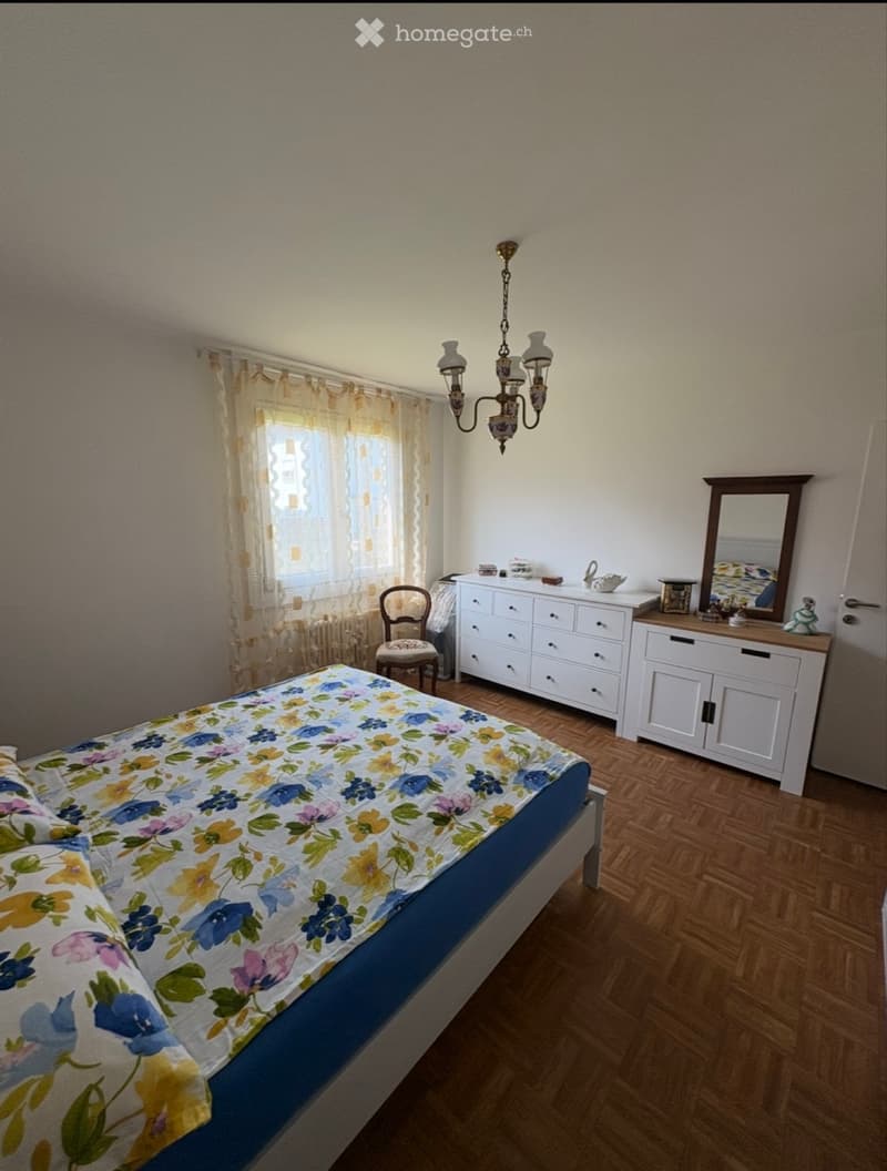 VENDESI / AFFITTASI 2.5 Cadenazzo (1)