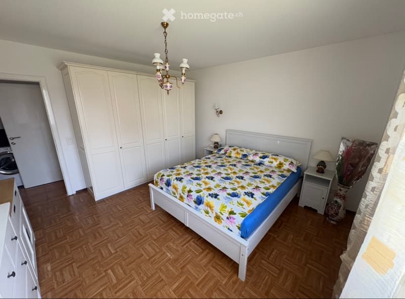 VENDESI / AFFITTASI 2.5 Cadenazzo (2)