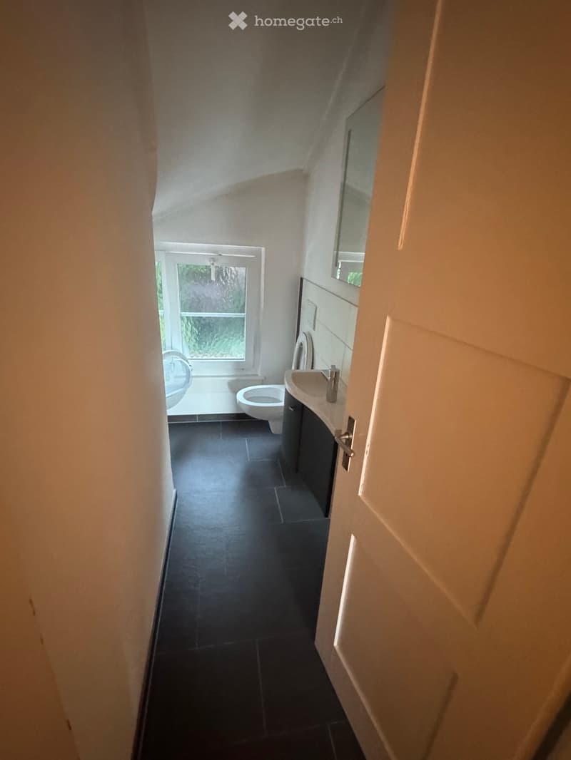 Nachmieter Gesucht: Helle und grosszügige 4-Zimmer Wohnung (3)