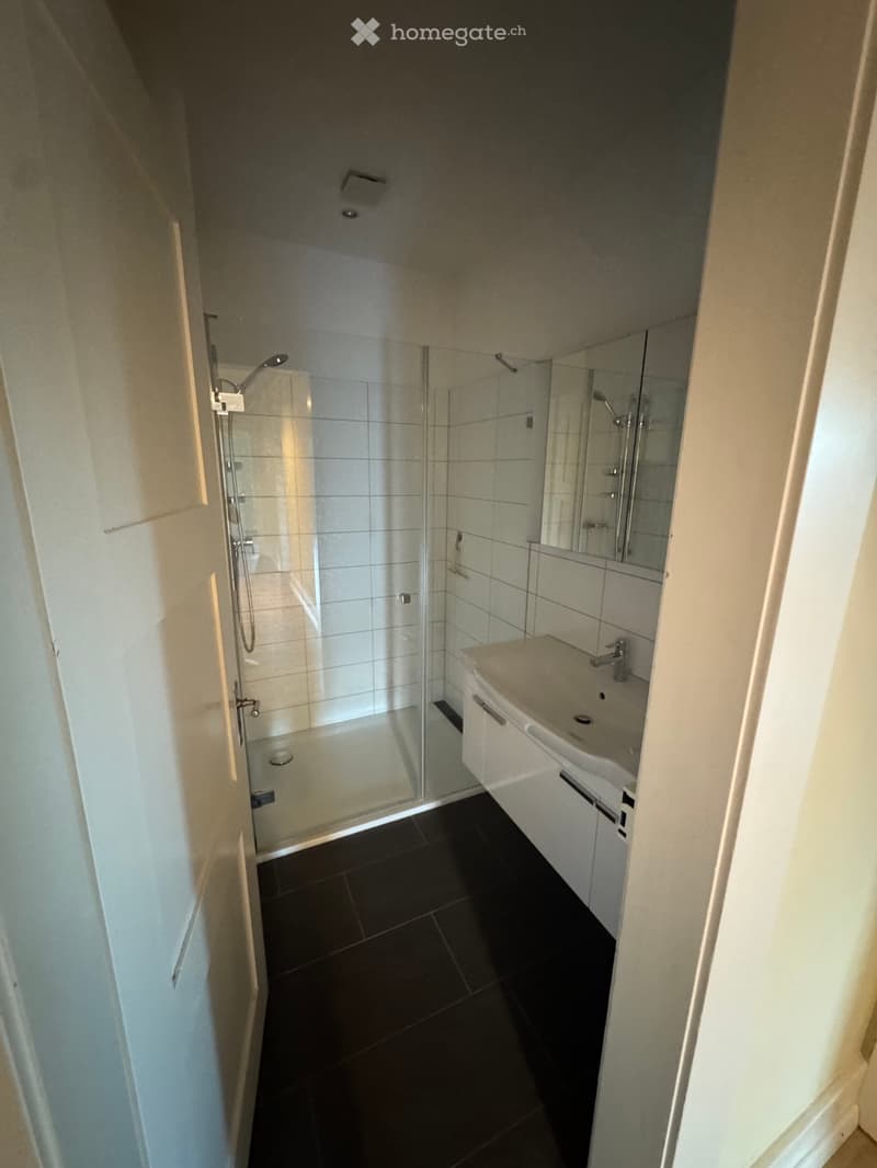 Nachmieter Gesucht: Helle und grosszügige 4-Zimmer Wohnung (4)
