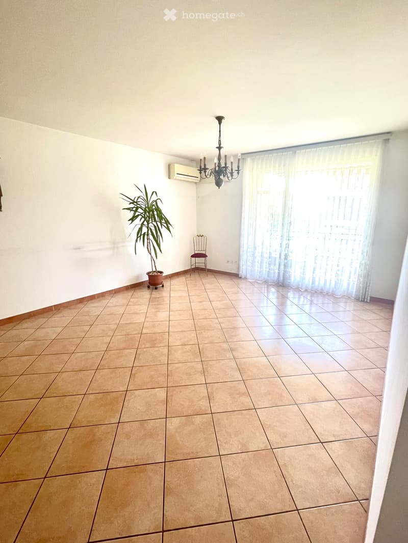 Vendita luminoso appartamento 2 1/2 locali (2)