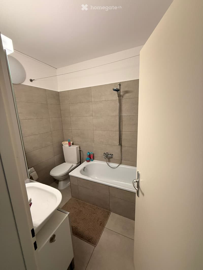 Ampio e luminoso appartamento di 4.5 locali a Chiasso (4)