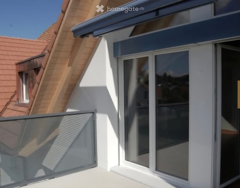 5½ Duplex Attikawohnung (3)