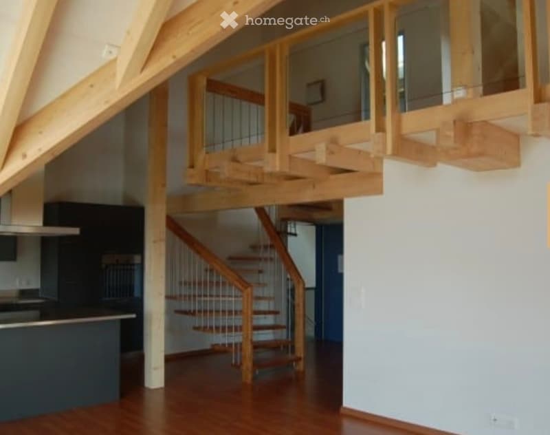 5½ Duplex Attikawohnung (5)