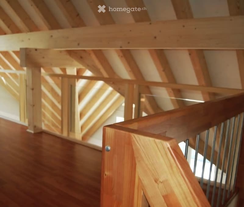 5½ Duplex Attikawohnung (4)