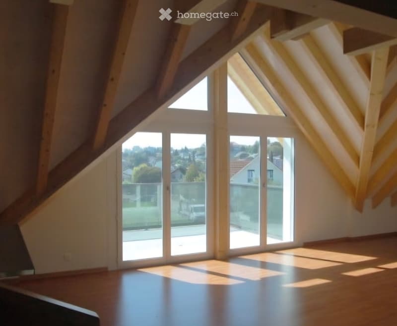 5½ Duplex Attikawohnung (2)
