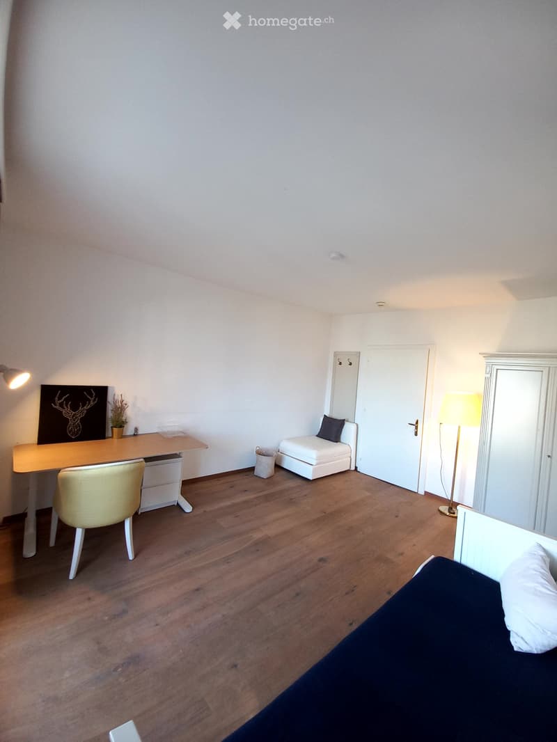 Helles Zimmer mit Seesicht in Ermatingen. All inklusive. (7)
