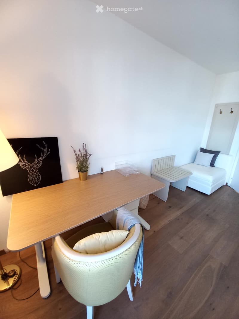 Helles Zimmer mit Seesicht in Ermatingen. All inklusive. (5)
