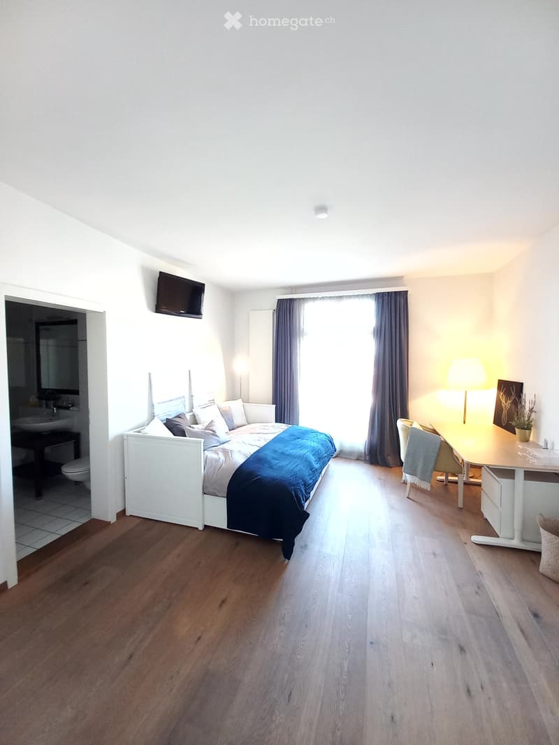 Helles Zimmer mit Seesicht in Ermatingen. All inklusive. (6)