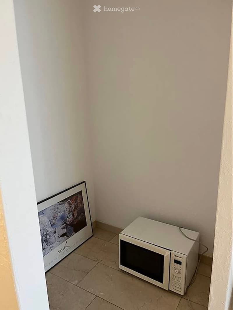 1-Zimmer Wohnung im steuergünstigen Bäch zu vermieten (3)