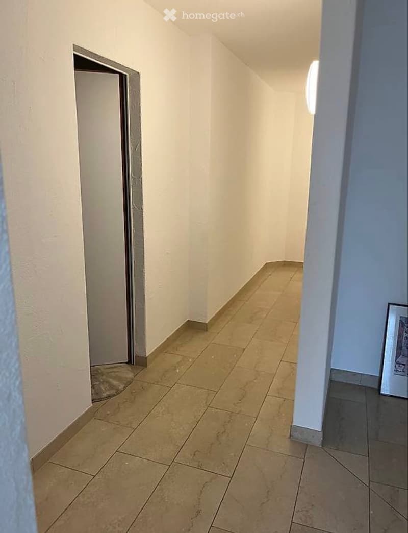 1-Zimmer Wohnung im steuergünstigen Bäch zu vermieten (2)