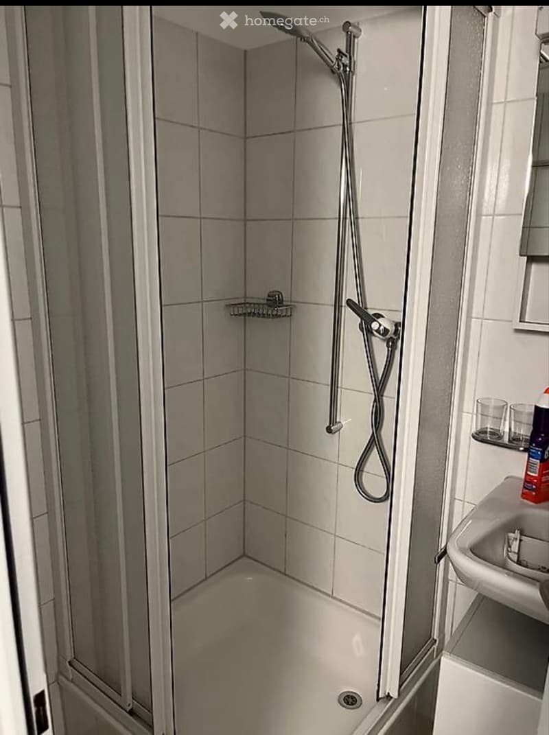 1-Zimmer Wohnung im steuergünstigen Bäch zu vermieten (5)