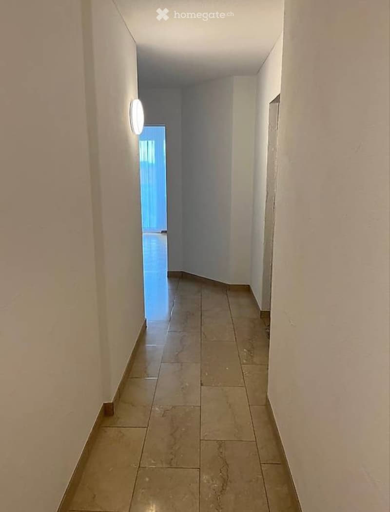 1-Zimmer Wohnung im steuergünstigen Bäch zu vermieten (4)