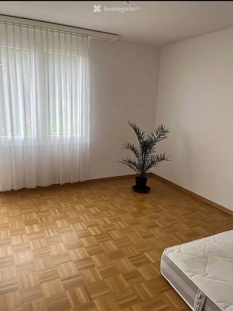 1-Zimmer Wohnung im steuergünstigen Bäch zu vermieten (1)