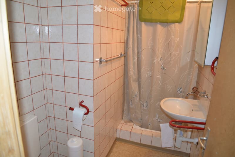 Maiensäss/Wohnsitz/Ferienhaus oberhalb von Visp zu verkaufen (5)