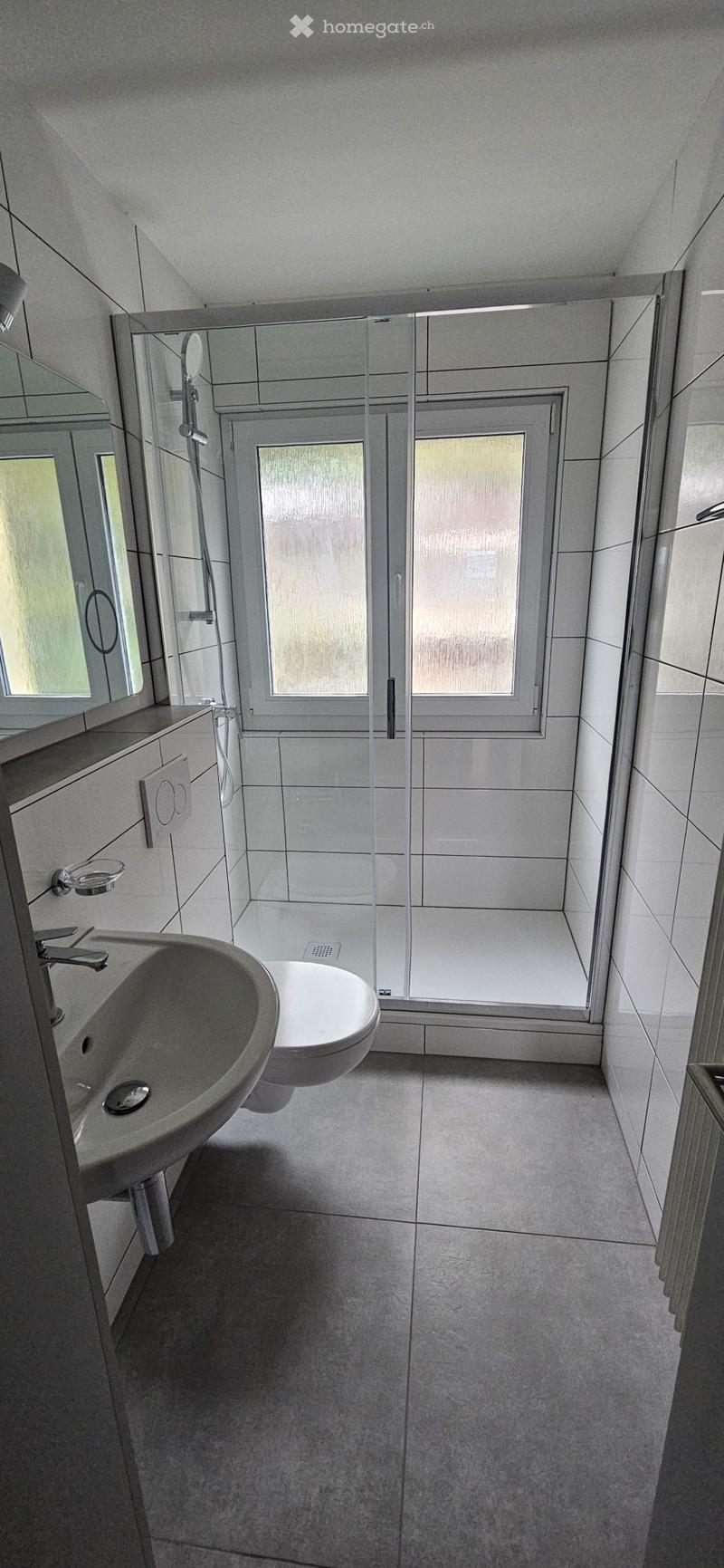 Wohnung in Steffisburg 3.5 & 4.5 Neu renoviert zu vermieten (5)