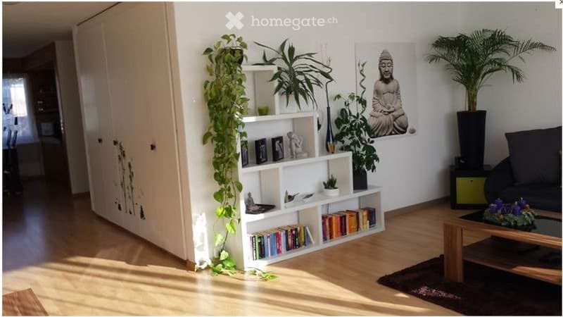 Sonnige, helle 4.5 ZI Wohnung mit Terrasse und Einzelgarage (4)