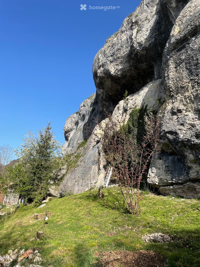 EFH mit großem Garten, Schopf und Stall (3)