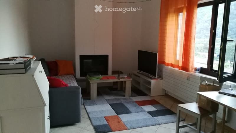 Affittasi luminoso appartamento di 2 locali a Mezzovico (2)