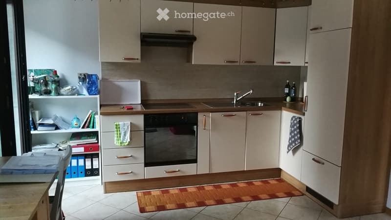 Affittasi luminoso appartamento di 2 locali a Mezzovico (3)