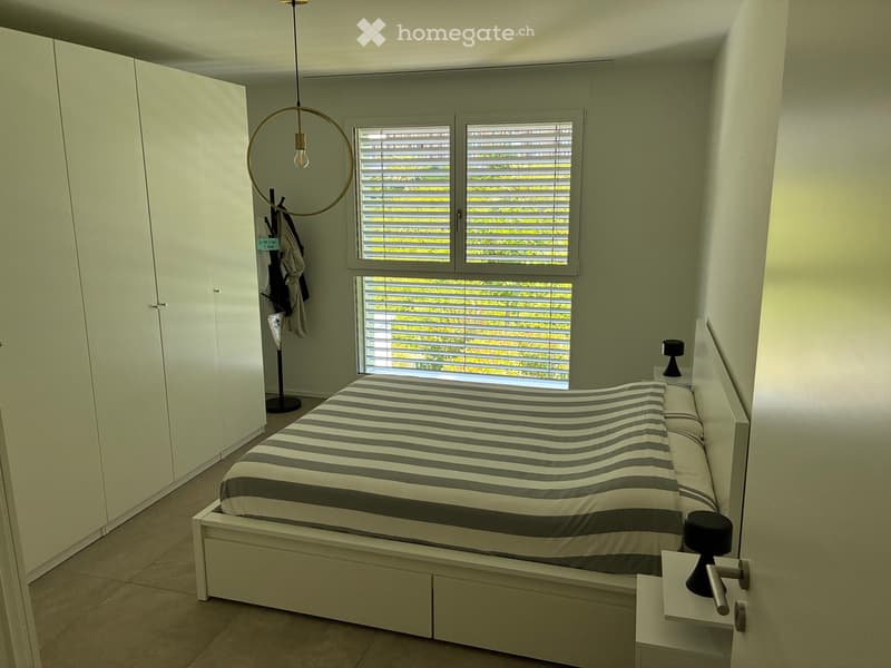 Cerco subentrante 2.5 Sorengo (3)