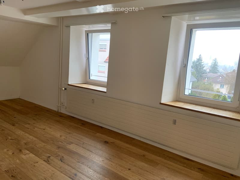 1 Zimmerwohnung in Reinach (3)