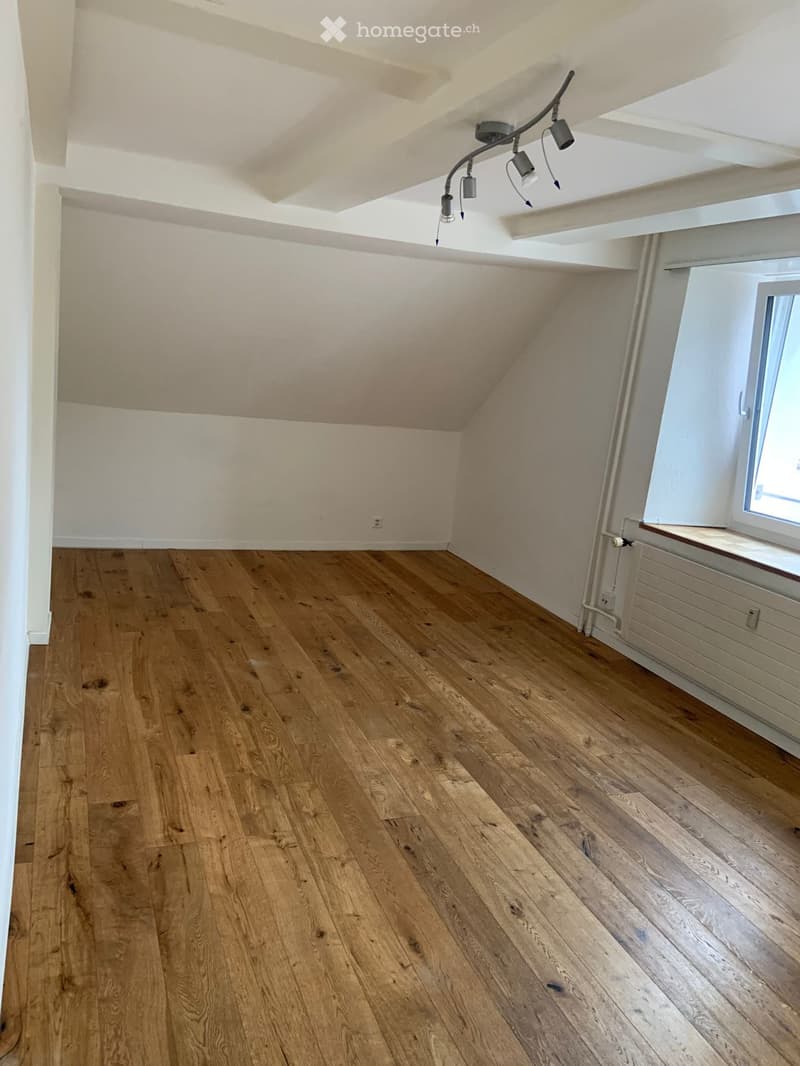 1 Zimmerwohnung in Reinach (5)