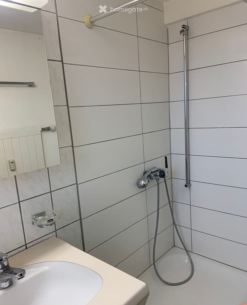 1 Zimmerwohnung in Reinach (4)
