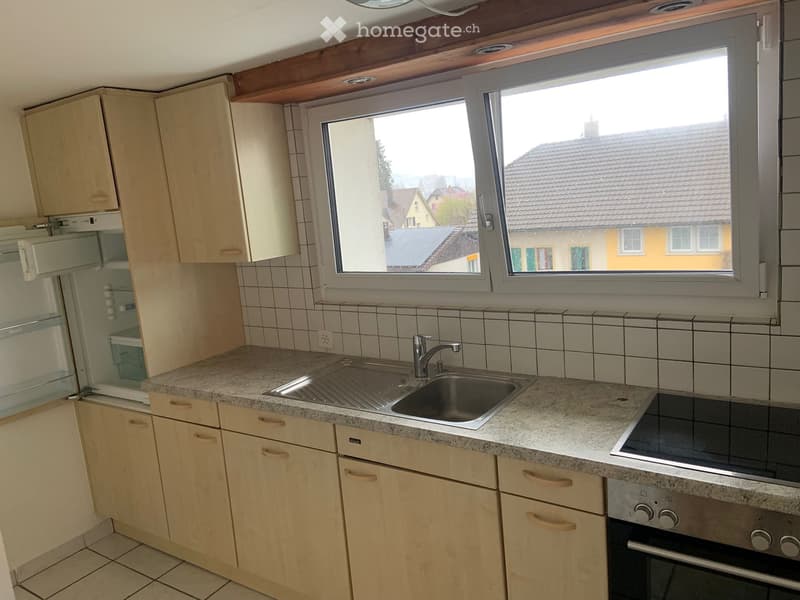 1 Zimmerwohnung in Reinach (1)