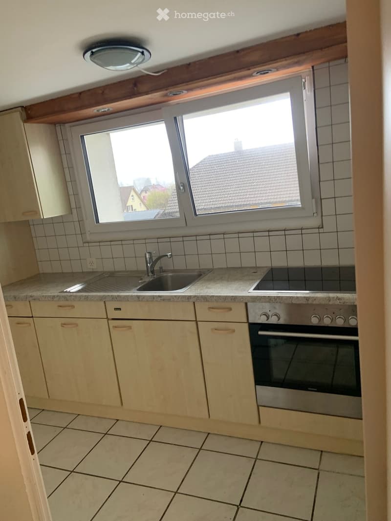 1 Zimmerwohnung in Reinach (2)