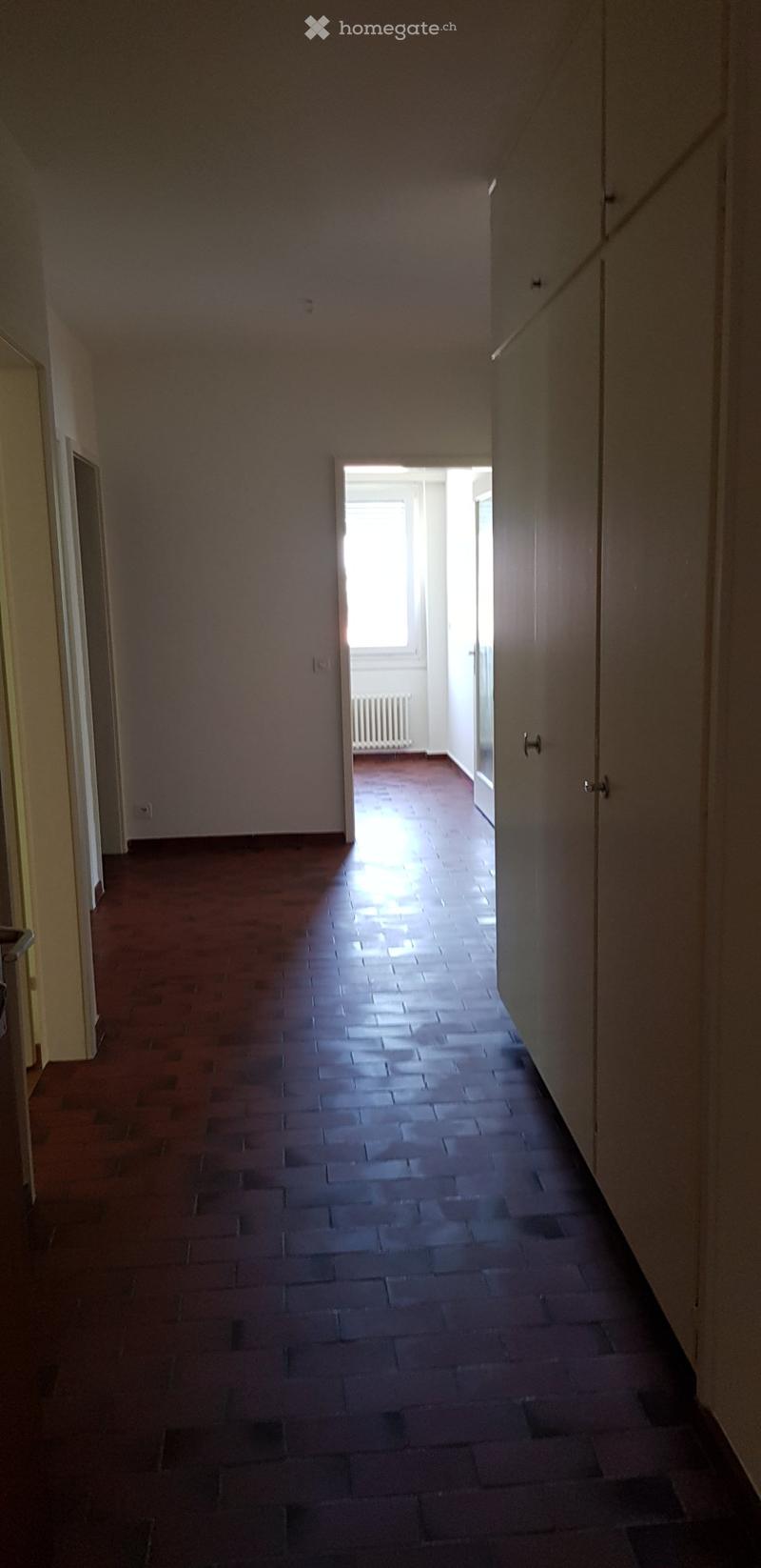 Spazioso e luminoso appartamento (2)