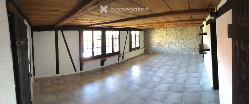 Schöne 21/2-Zimmer-Wohnung (2)