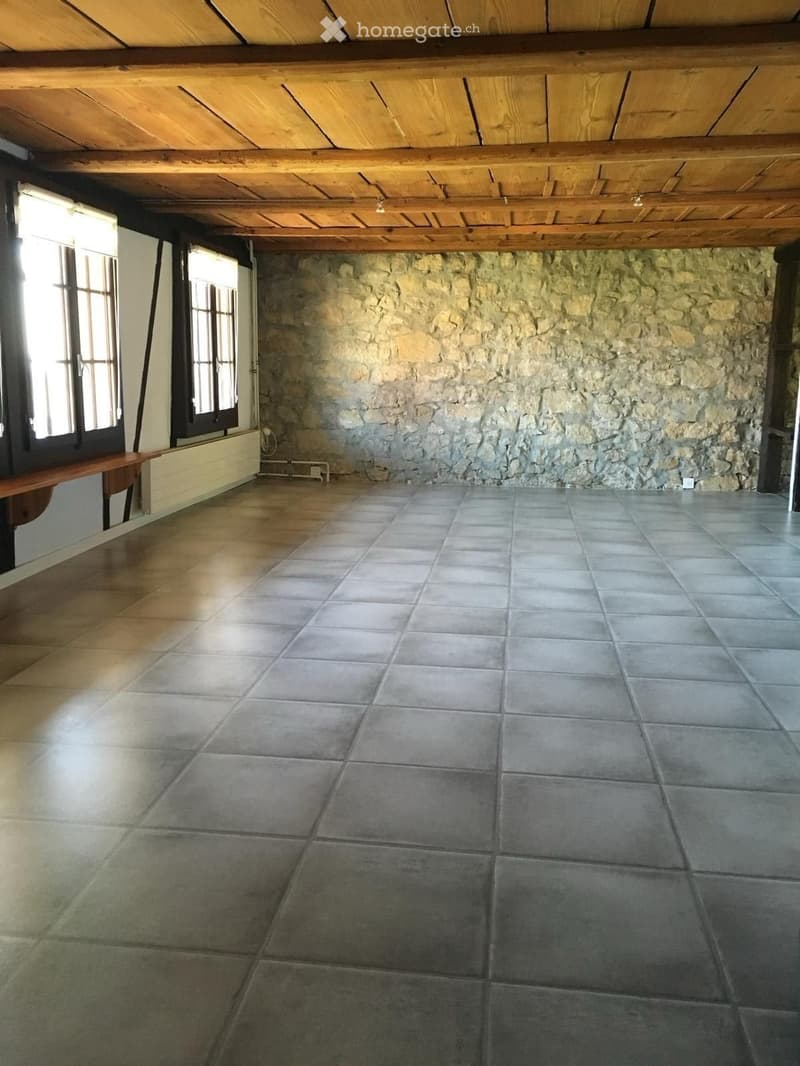 Schöne 21/2-Zimmer-Wohnung (3)