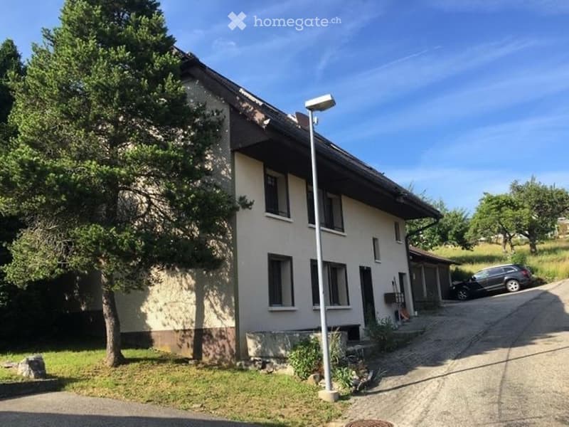 Schöne 21/2-Zimmer-Wohnung (5)