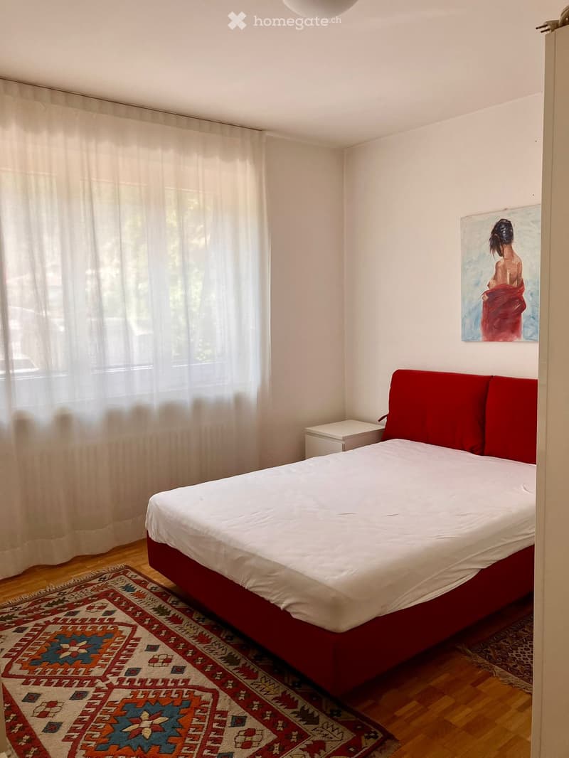Affittasi 3 1/2 in palazzina famigliare a Bellinzona (4)