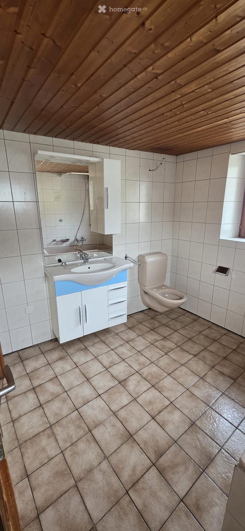 Accogliente appartamento 2.5 locali a Camignolo (3)