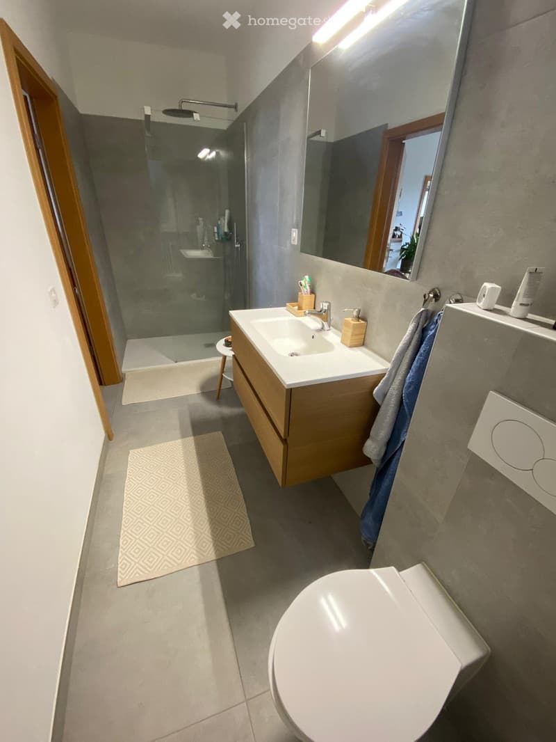 Affittasi 4.5 Locali a Novaggio (Malcantone) (4)