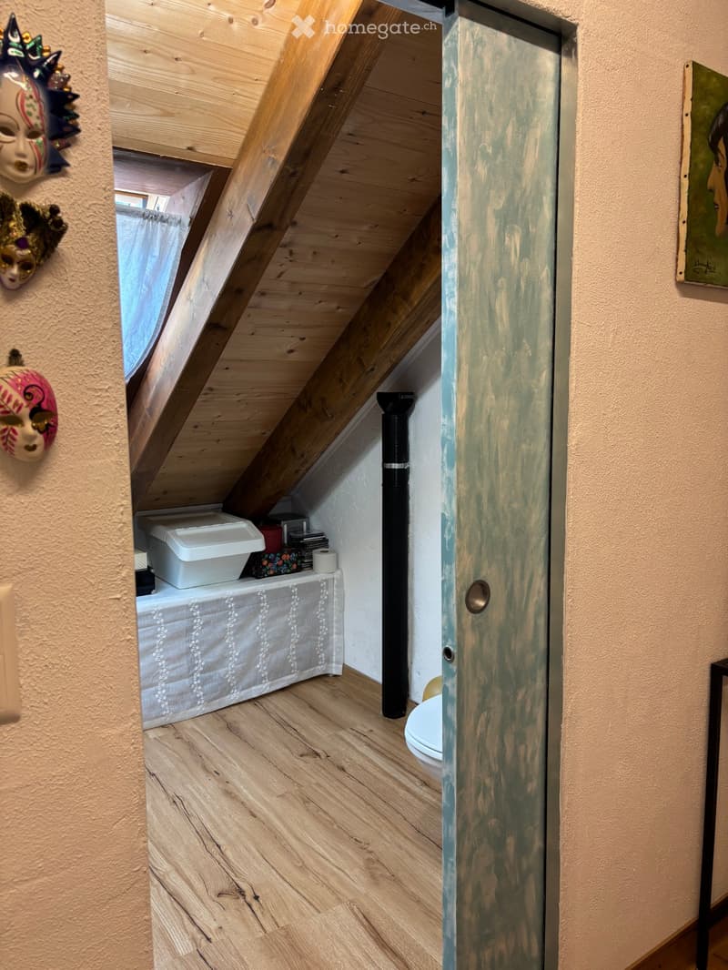 "Charmantes TI-Haus mit Priv.Parkpl. Claro Bellinzona TI". (10)