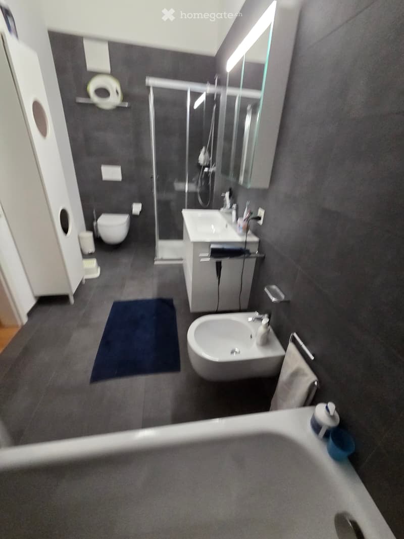 5.5 locali Ponte Capriasca (3)